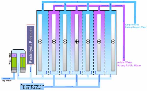 Electrolysis store kangen water